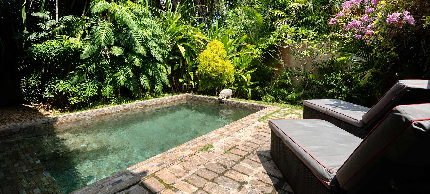 The Mountbatten Suite plunge pool set in brick paving, with loungers against dense tropical planting