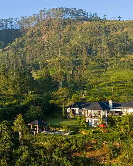 Hotel with beautiful nature