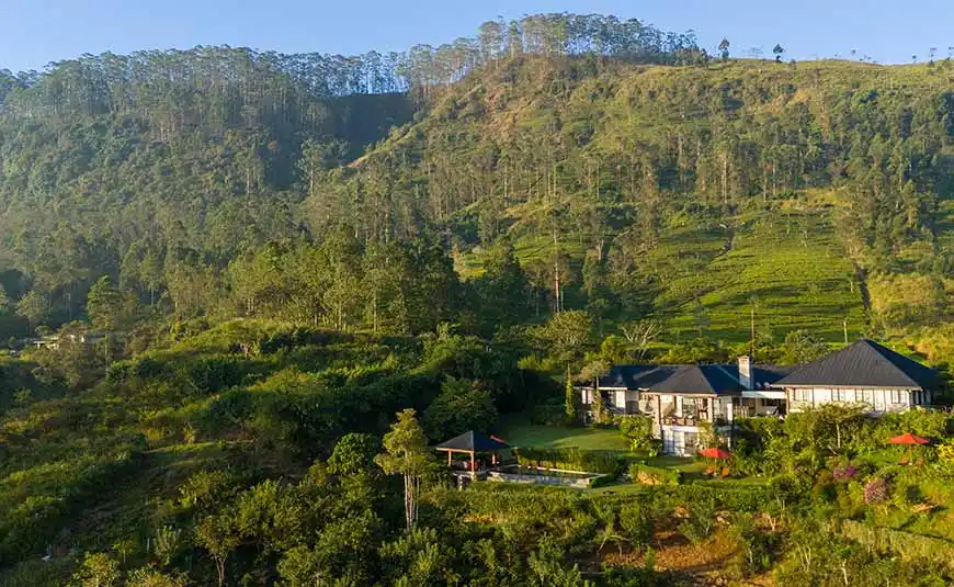 Hotel with beautiful nature