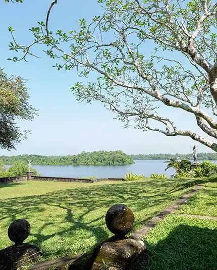 Beautiful ground with river