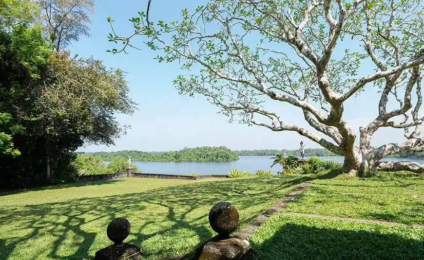 Beautiful ground with river